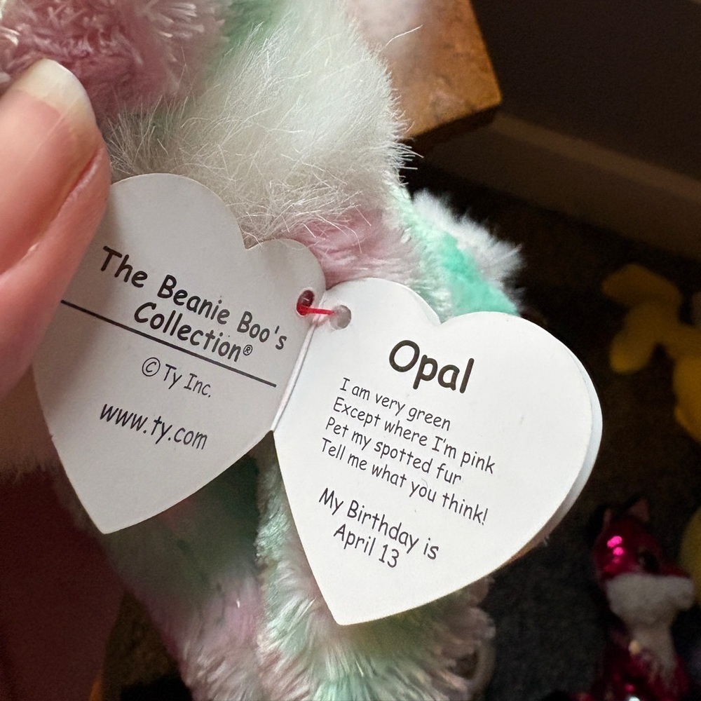 TY Beanie Boo lot of 5–Karli koala, Dreamy sloth, Opal cat, Flips dolphin plush - Picture 11 of 16